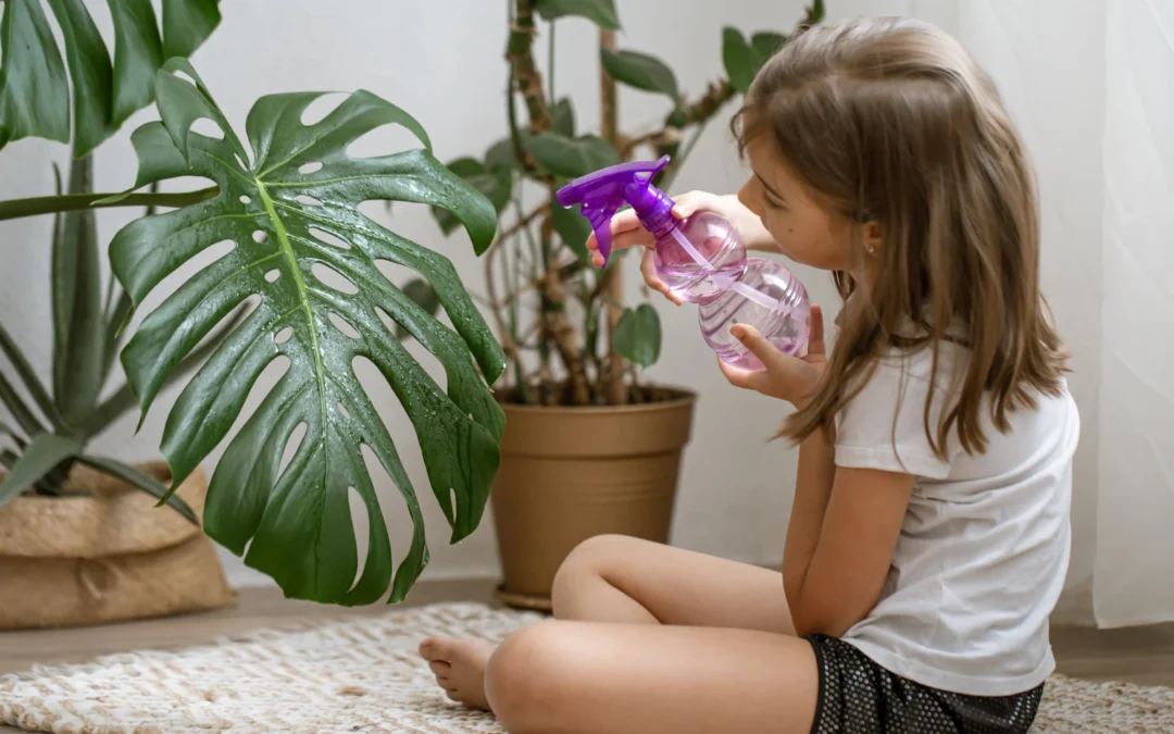 Monstera i dzieci – czy roślina jest trująca lub szkodliwa?
